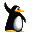 Présentation Wheler Pinguin3
